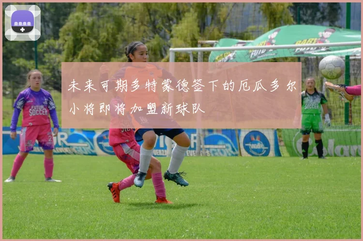 未来可期多特蒙德签下的厄瓜多尔小将即将加盟新球队