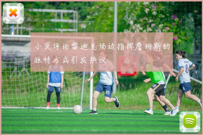 小莫评论雷迪克场边指挥詹姆斯的独特方式引发热议