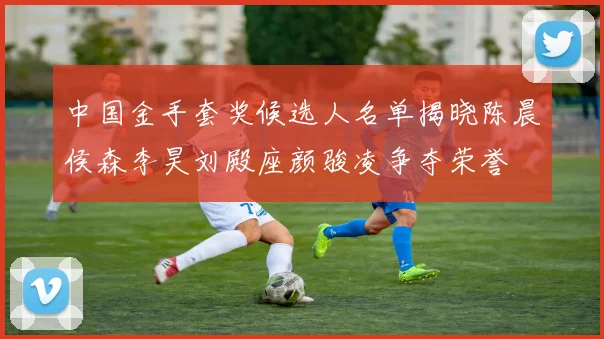 中国金手套奖候选人名单揭晓陈晨侯森李昊刘殿座颜骏凌争夺荣誉