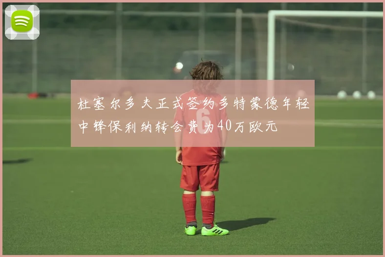 杜塞尔多夫正式签约多特蒙德年轻中锋保利纳转会费为40万欧元