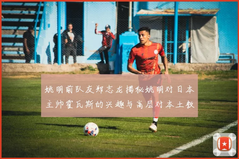 姚明前队友郑志龙揭秘姚明对日本主帅霍瓦斯的兴趣与高层对本土教练的偏好